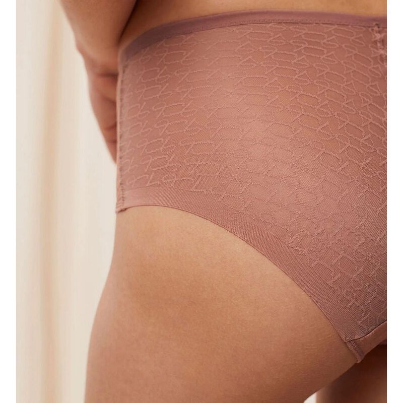 Triumph Signature Sheer Maxi Brief image number 7